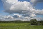 Объективы Tamron SP (super performance):, фото 23