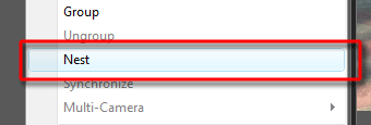 Adobe Premiere Pro CS4, фото 6