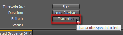 Adobe Premiere Pro CS4, фото 9