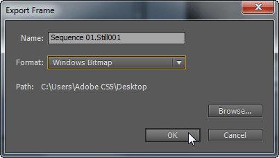 Adobe Premiere Pro CS5, фото 8
