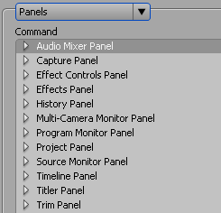 Adobe Premiere Pro CS3 Beta, фото 10