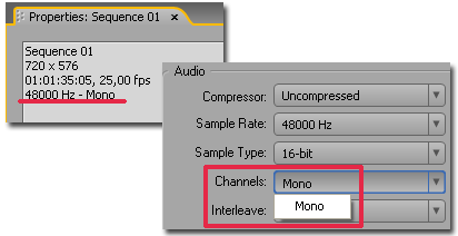 Adobe Premiere Pro CS3 Beta, фото 24