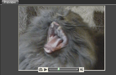 Adobe Premiere Pro CS3 Beta, фото 20