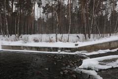 Видеосъемка фотоаппаратом Canon EOS 7D Mark II