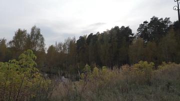 Видеокамера Canon XF405:, фото 24