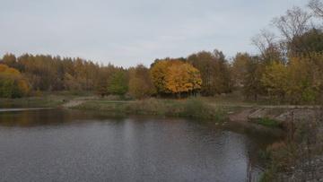 Видеокамера Canon XF405:, фото 26