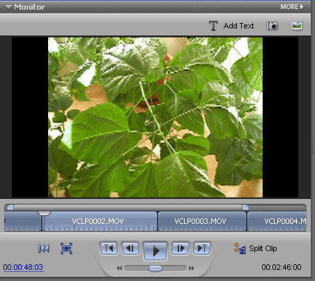 Adobe Premiere Elements 3.0, фото 44