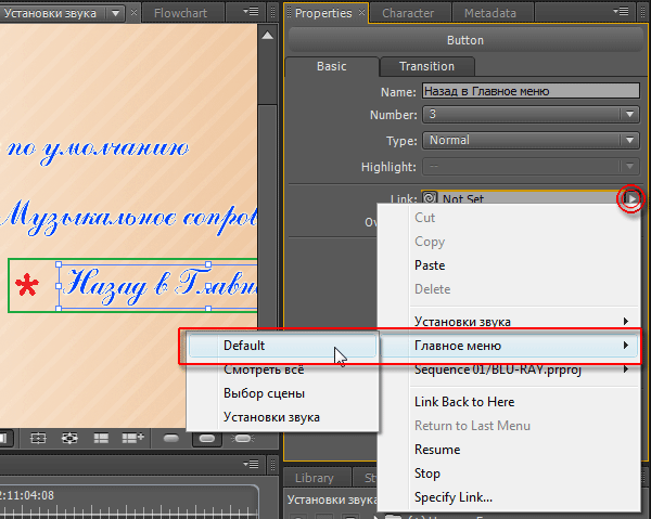 Авторинг дисков Blu-ray в Adobe Encore CS4, фото 14