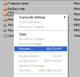 Adobe Encore DVD 2.0. Практический урок. Часть 2, фото 2