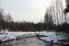 Видеосъемка фотоаппаратом. Canon EOS 5D Mark IV