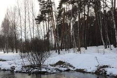Видеосъемка фотоаппаратом. Canon EOS 5D Mark IV