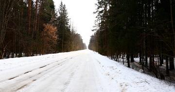 Видеосъемка фотоаппаратом, Canon EOS 5D Mark IV:, фото 45