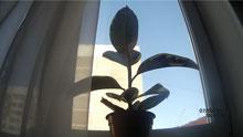 Экшн-камера Fantec BeastVision HD:, фото 34