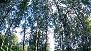Экшн-камера Gmini MagicEye HDS6000:, фото 18