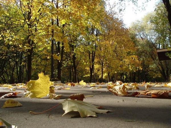 Посмотреть в полном разрешении