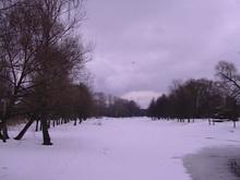 Видеокамера JVC GZ-EX215:, фото 18