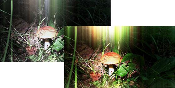 Magic Bullet Looks, фото 10