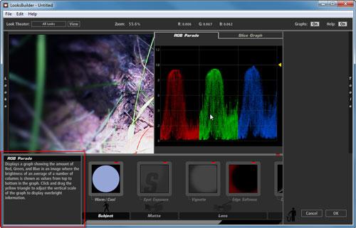 Magic Bullet Looks, фото 27