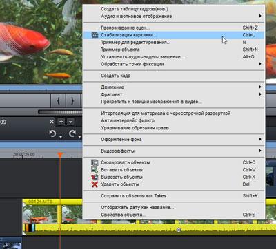 Magix Video Deluxe 2013 Plus:, фото 26