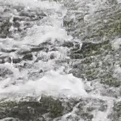 Видеосъемка фотоаппаратом Nikon D500