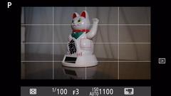 Видеосъемка фотоаппаратом Nikon D500