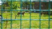 Видеосъемка фотоаппаратом Panasonic DMC-G7