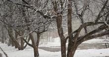 Видеосъемка фотоаппаратом. Panasonic DMC-GH4