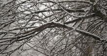 Видеосъемка фотоаппаратом. Panasonic DMC-GH4