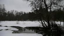 Видеосъемка фотоаппаратом, Panasonic DMC-GX7:, фото 22