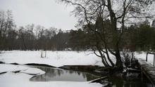 Видеосъемка фотоаппаратом, Panasonic DMC-GX7:, фото 21