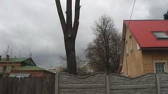 Видеокамера Panasonic HC-V10:, фото 12