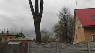 Видеокамера Panasonic HC-V100:, фото 7