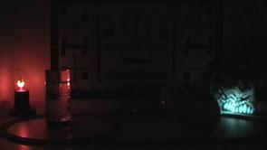 Panasonic SDR-SW21, фото 19