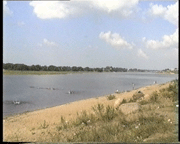 Matrox RT2000, фото 25
