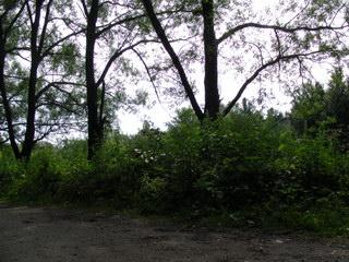 Samsung HMX-M20, фото 21