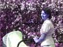 Sapphire, фото 9