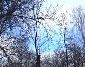 Экшн-камера Sony HDR-AZ1