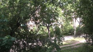 Видеокамера Sony HDR-CX360:, фото 10