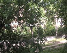 Видеокамера Sony HDR-CX360:, фото 9