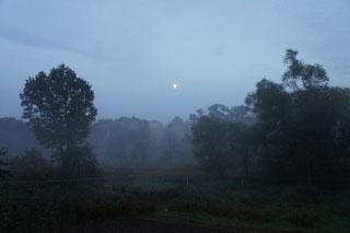 Sony NEX-VG10, фото 23
