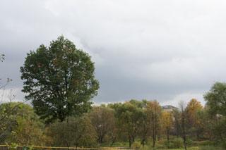 Sony NEX-VG10, фото 24