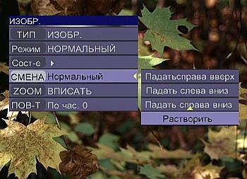 OSD