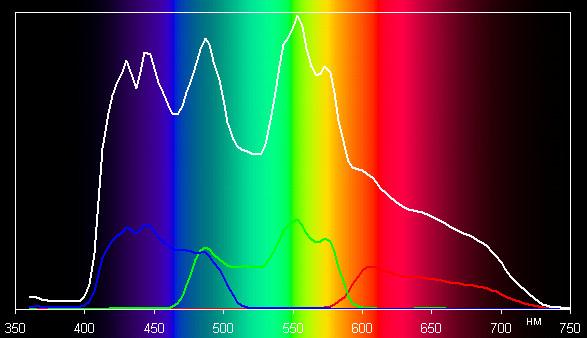 Spectrum