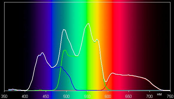 Spectrum