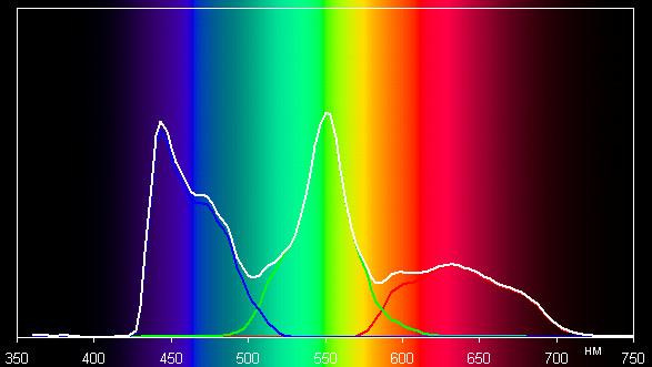 Spectrum