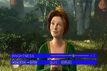 Brightness