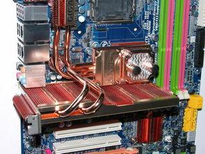 Computex 2008, фото 16