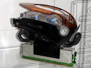 Computex 2008, фото 55