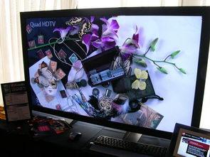 Computex 2008, фото 100