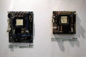 Поездка на Computex-2010, часть 2: Maokong и зоопарк, Computex, фото 44